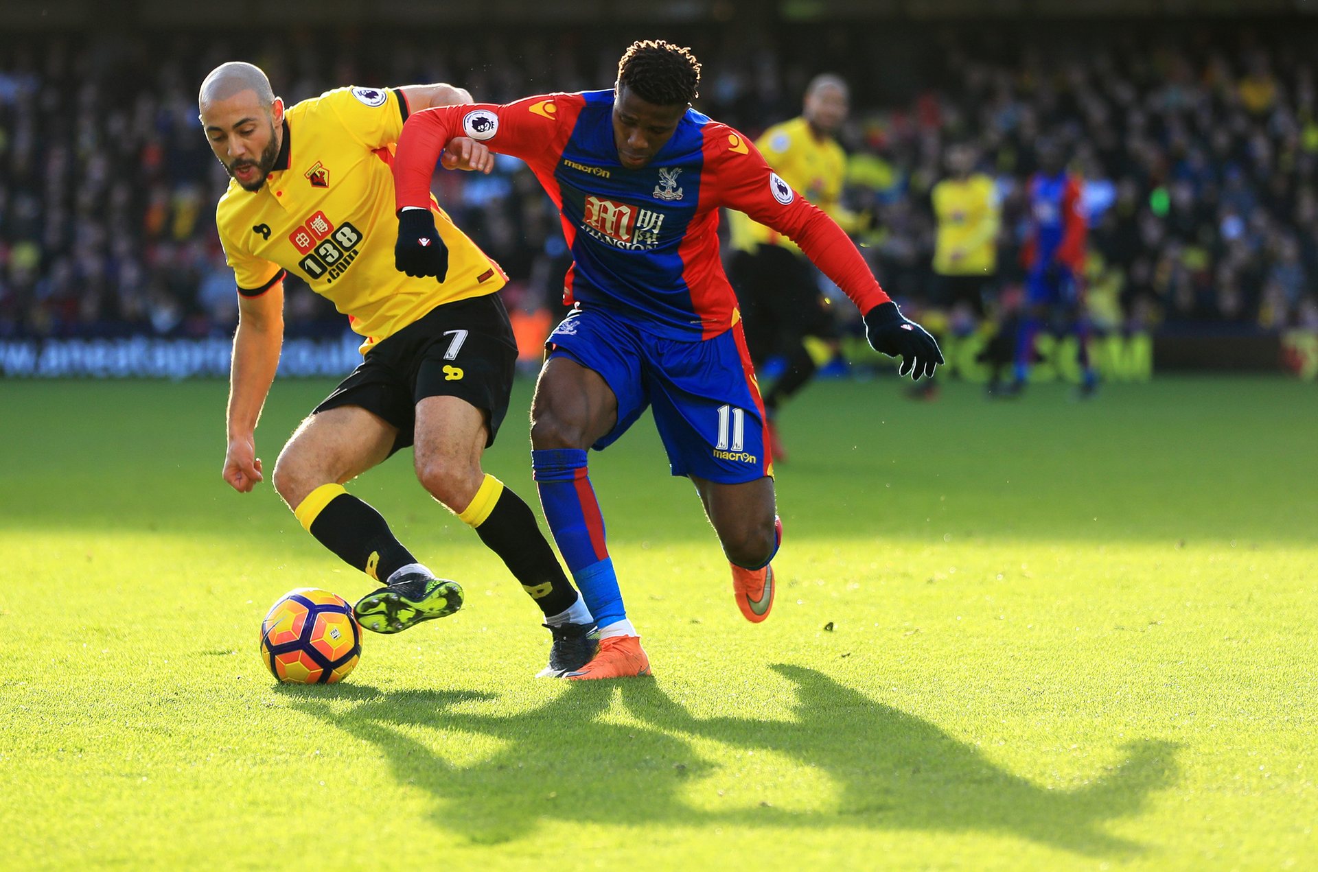 其独特的魅 其独特的魅