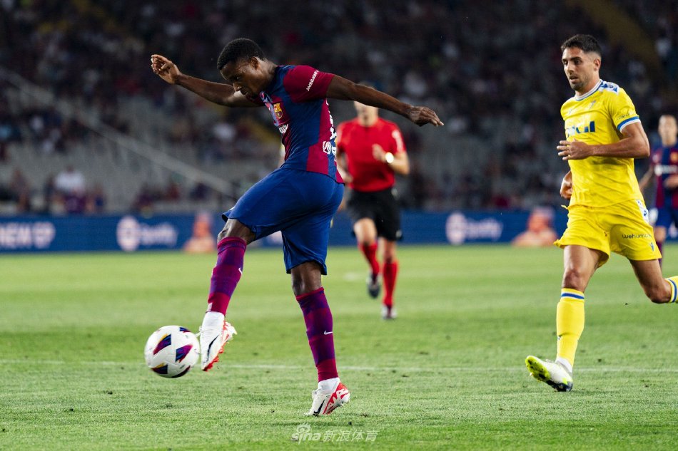 总体而言 总体而言